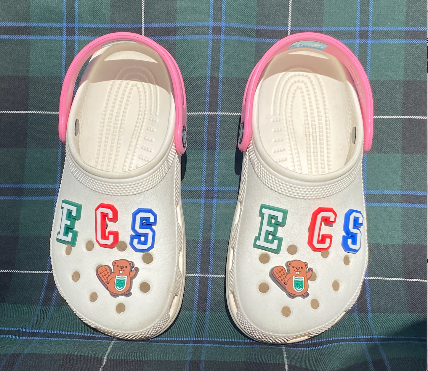 ECS Charms