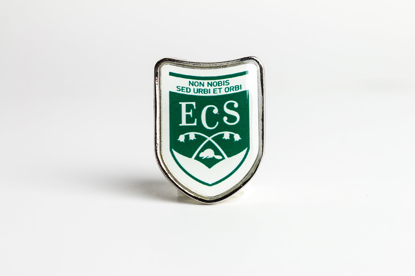 Lapel Pin