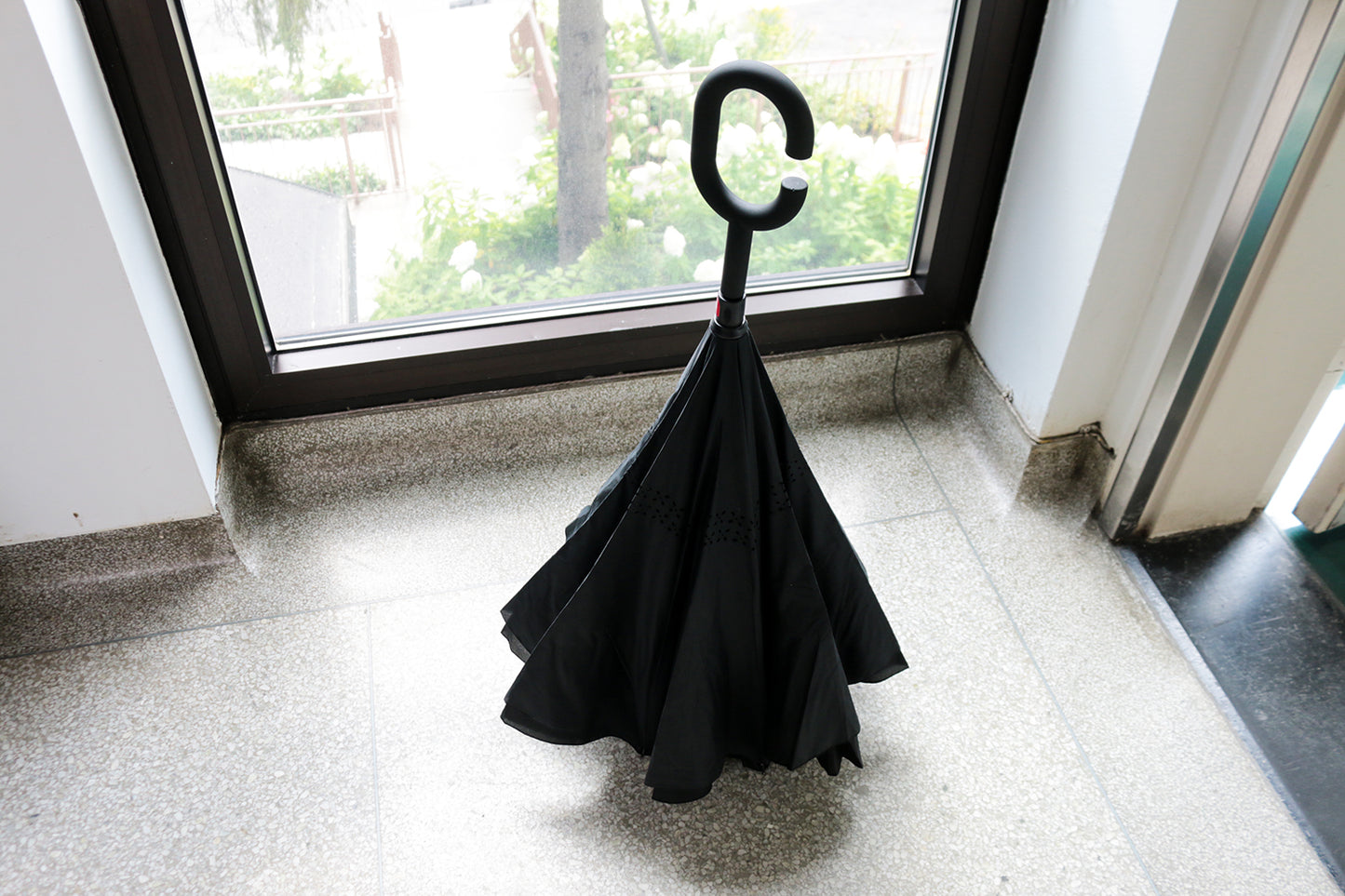 Reversible Umbrella