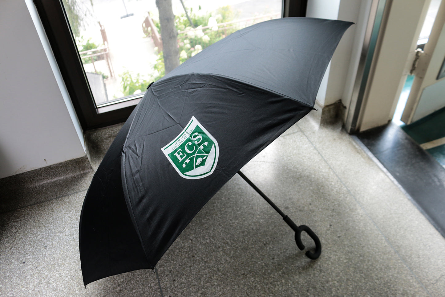 Reversible Umbrella