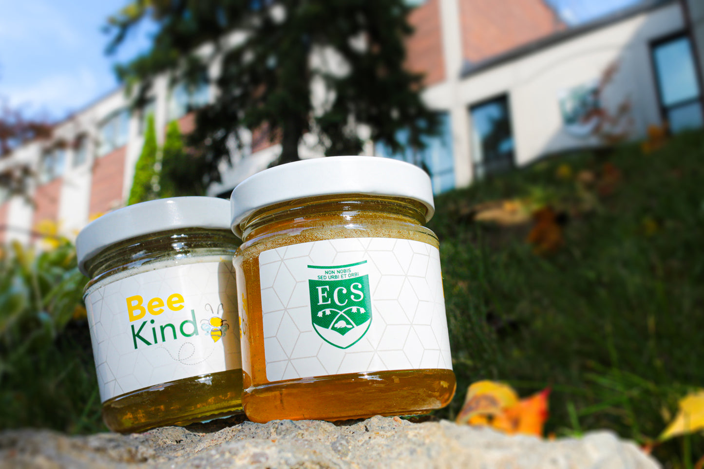 ECS Honey