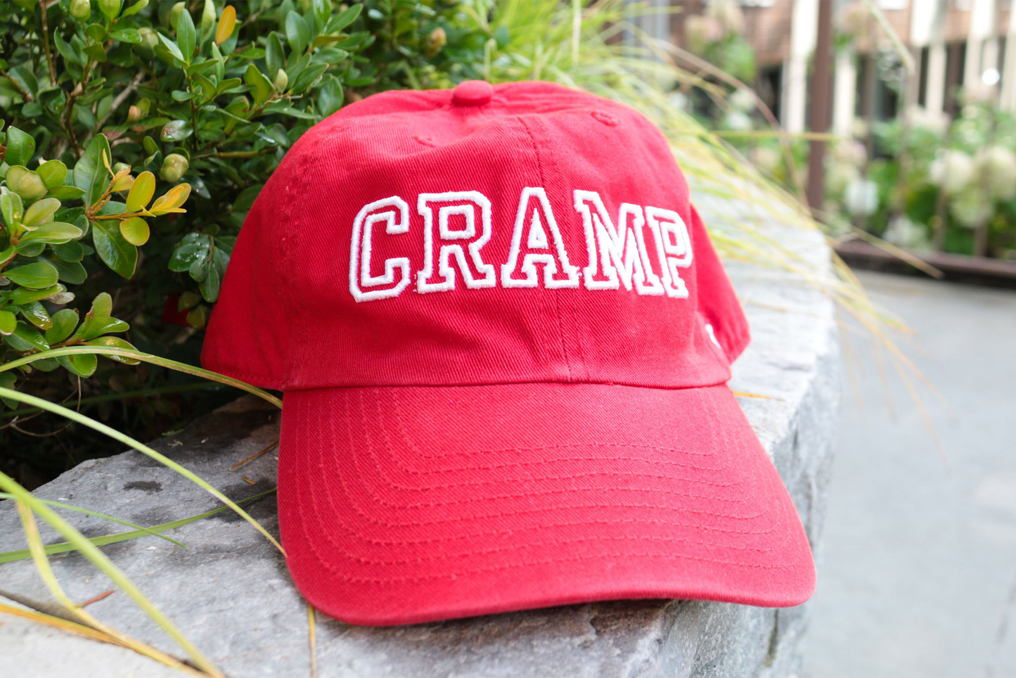 Show your colours...Purchase a House Baseball cap here