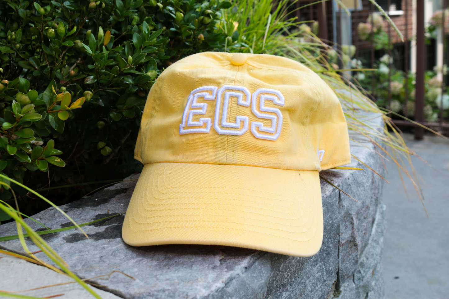 Show your colours...Purchase a House Baseball cap here